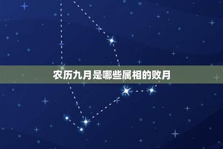 农历9月份属什么生肖运势如何