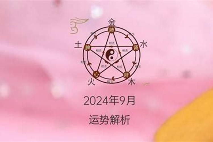 今年属猪与太岁相合吗女生