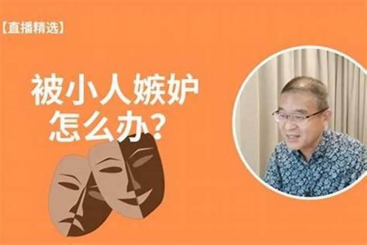 属猪女办公桌上摆放什么花好