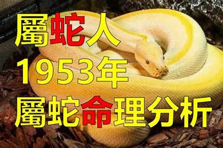 83年农历七月猪的命运