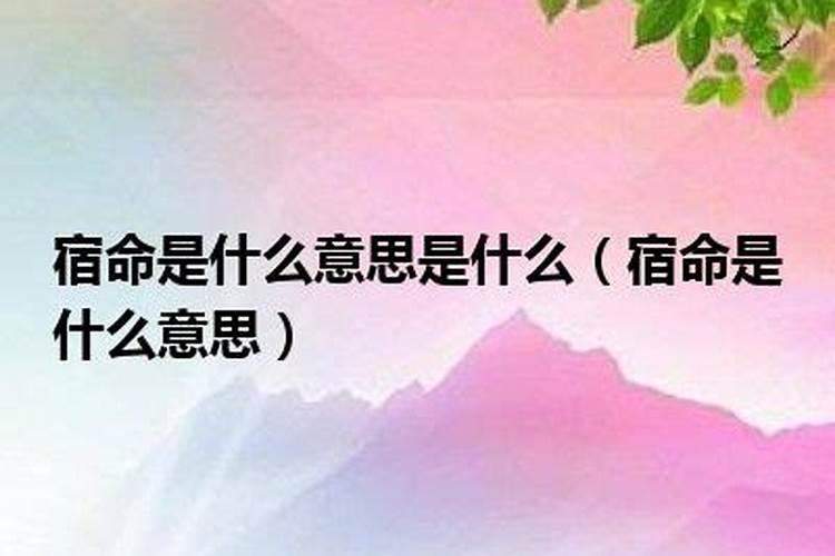 三月十五命好属鼠的男孩好不好