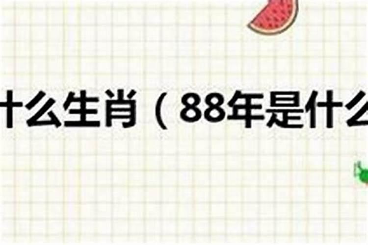 85年女88年男合婚吗