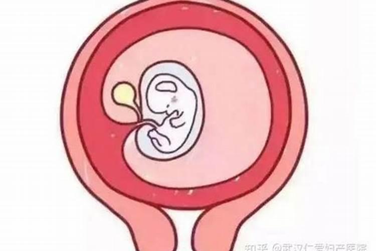 对婚姻不忠的人的忠告怎么写