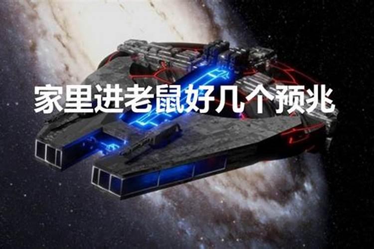 找对象生肖准还是星座准