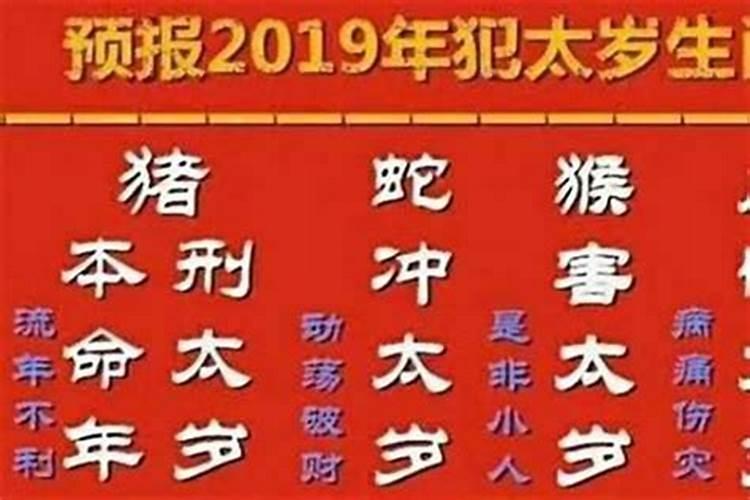 属龙人2023年运程豆瓣网