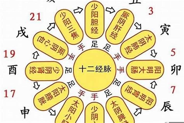 属相马狗虎今天是吉日吗为什么