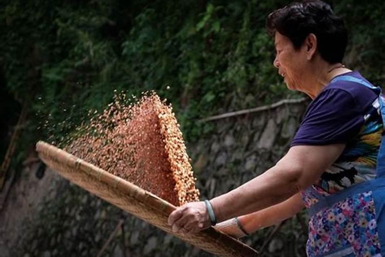 哪个生肖命男生最帅气