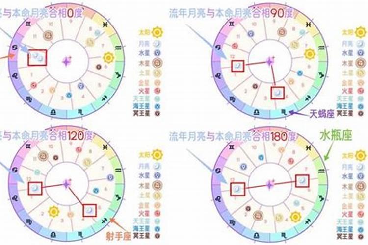 属狗的猪年运势