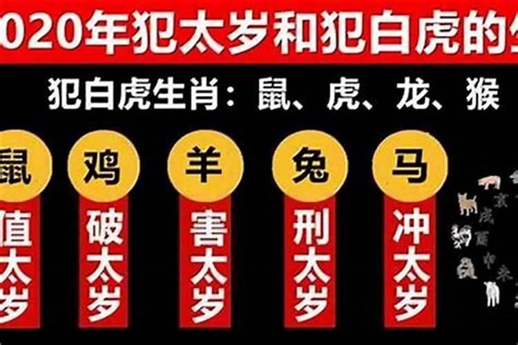 2020年鼠年犯太岁的生肖