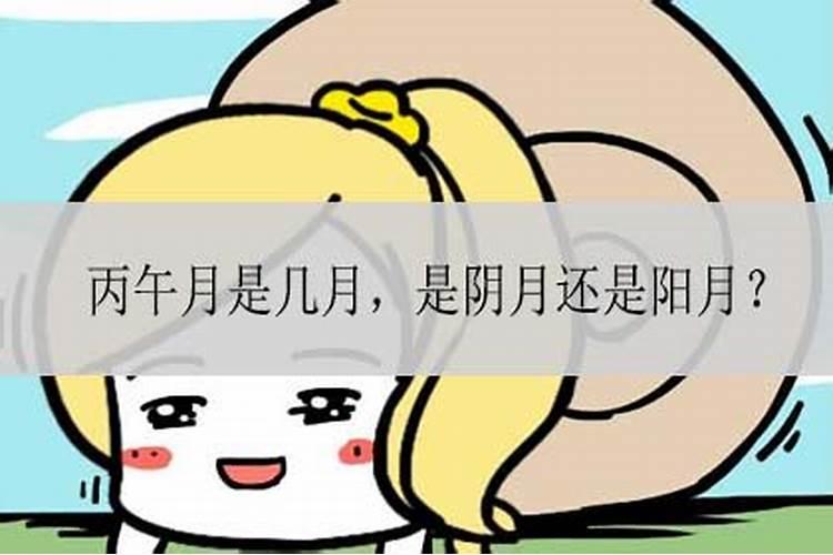 生辰八字是指哪些八字的意思