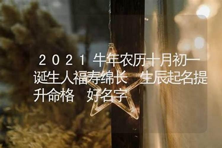 属羊的在2024年的运程