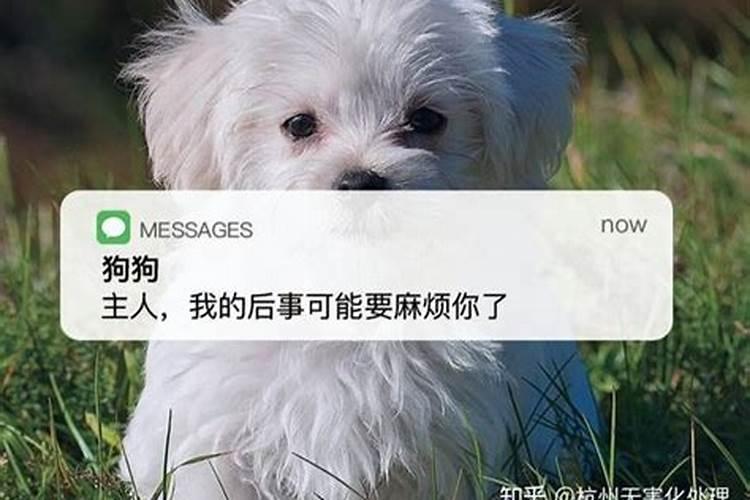 梦见前妻来找我是什么意思呢周公解梦