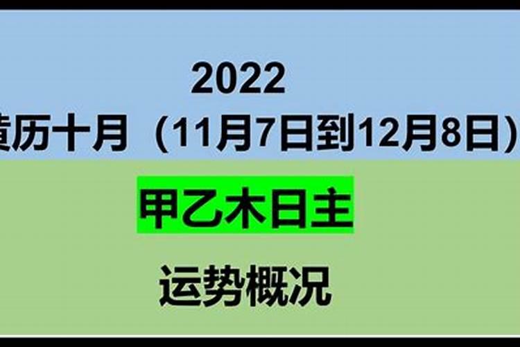 属虎1974今年运气如何呢男