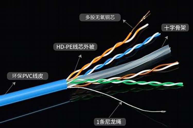 9月9日重阳节的意义是什么都干什么