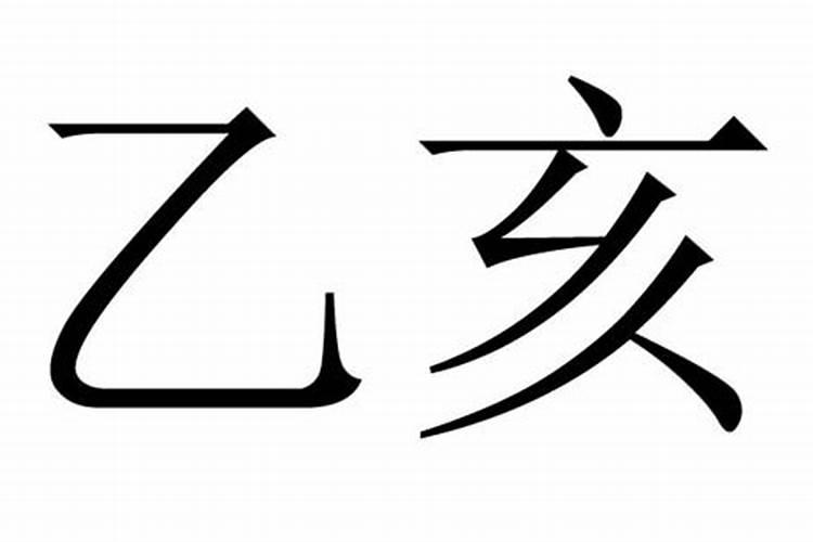 饿木命2024年的运势