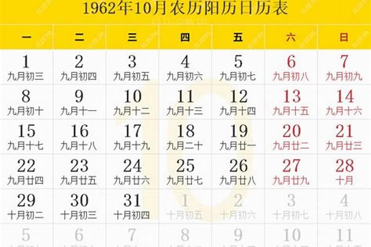 今年兔生肖的运程2023年