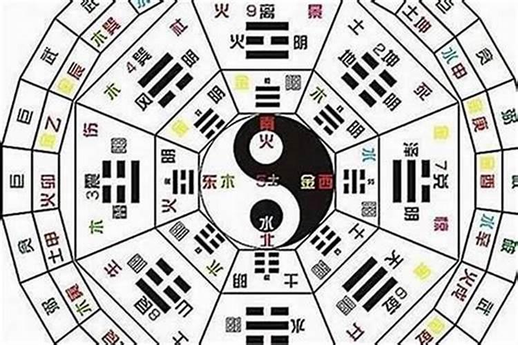 梦见死人又复活代表什么数字