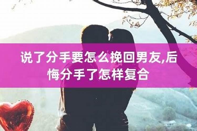 做梦梦见俩只大乌龟