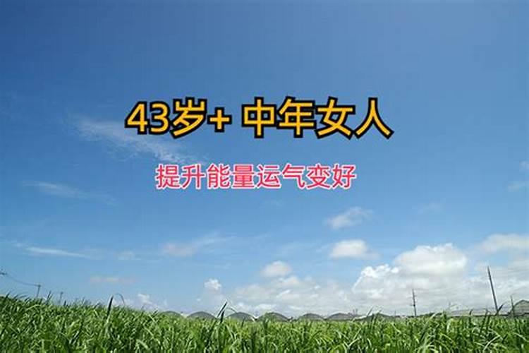 43岁运气怎么样