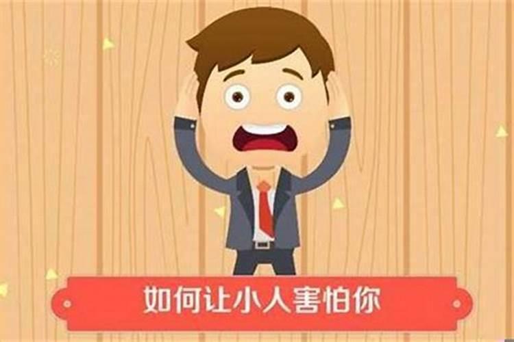 生肖合生辰八字不合适会怎么样