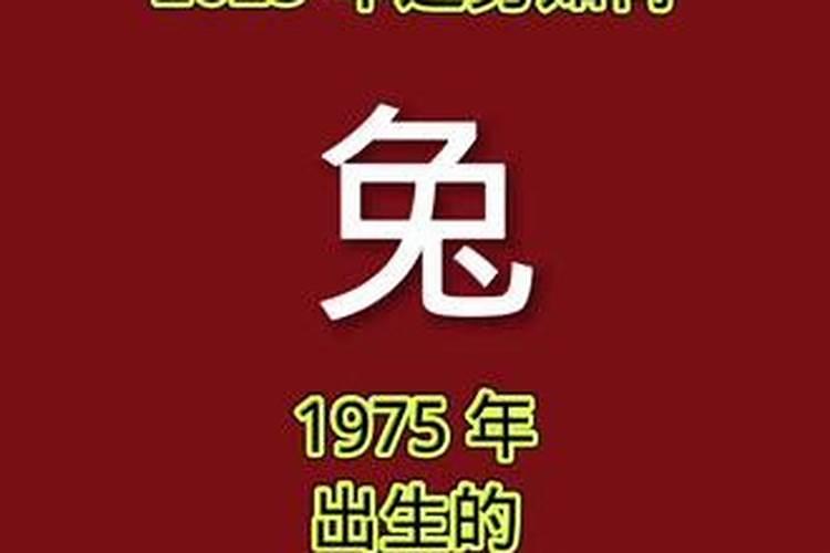 属猴2023年下半年事业运程怎样