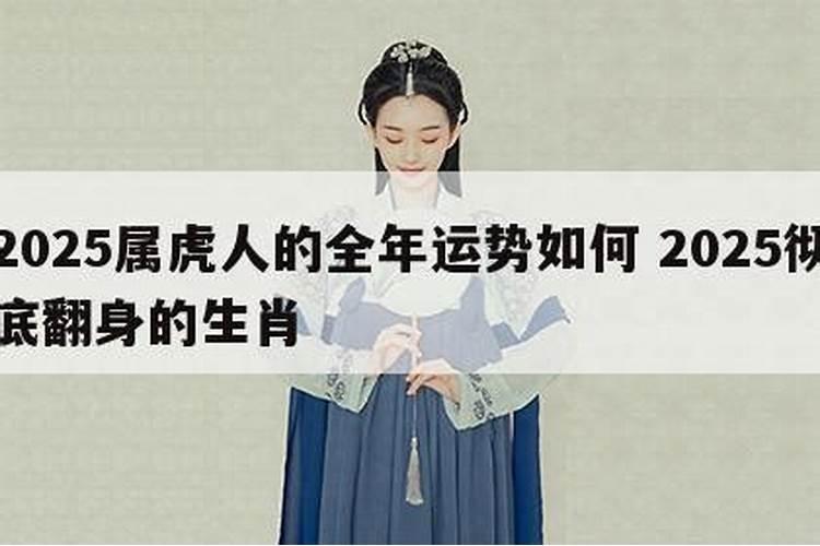 2024属虎人的全年运势如何