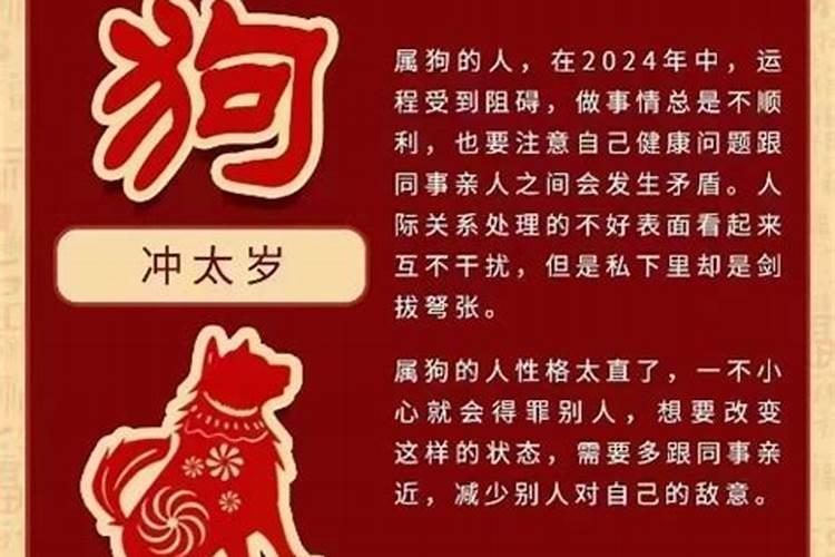 属狗的今年冲太岁吗