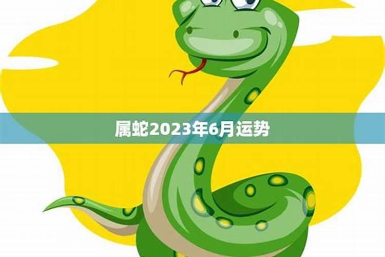 属蛇2023年12月份的运势如何