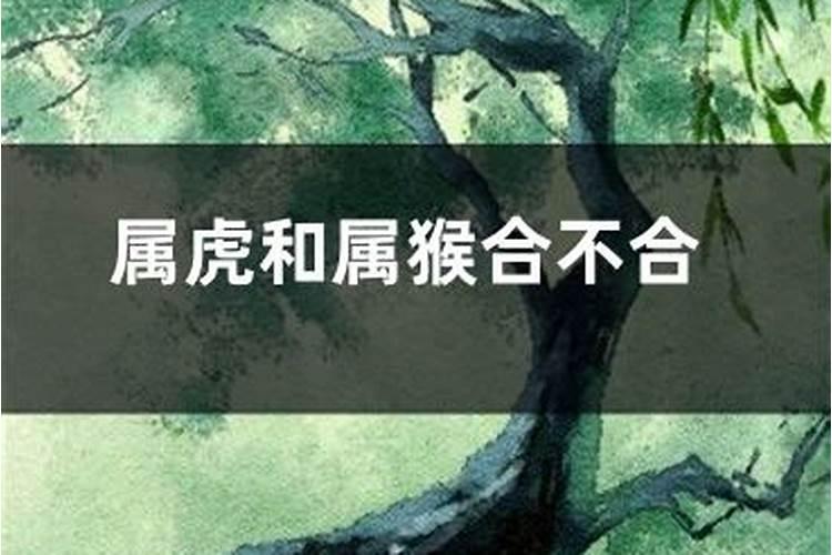 我想学风水,找谁拜师好