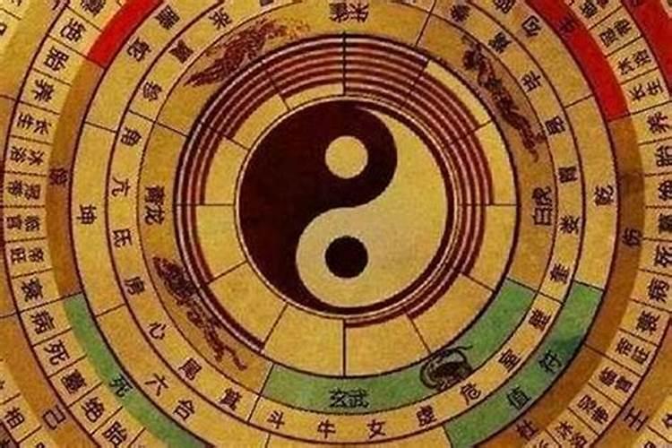 梦见棺材片