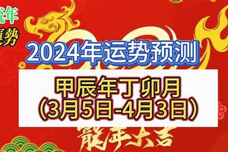 属猪的当教师2024年运程