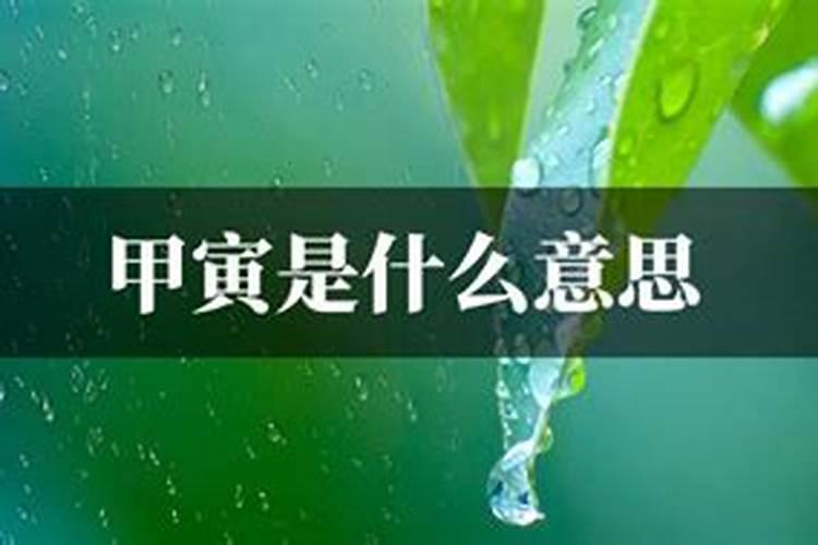 梦到自己吃韭菜周公解梦