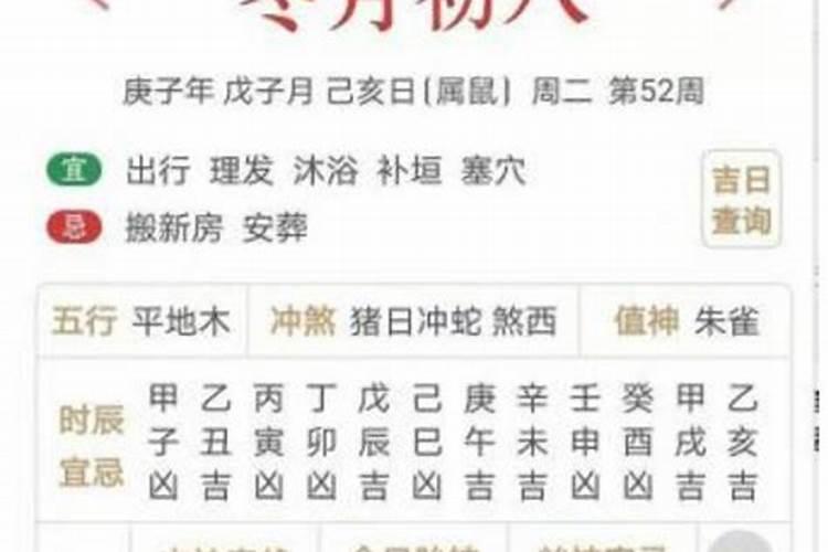 梦见蛇追我是什么意思吓得我一下子醒过来了