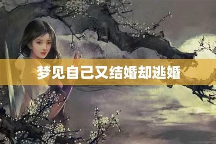 梦见和前夫结婚又逃婚