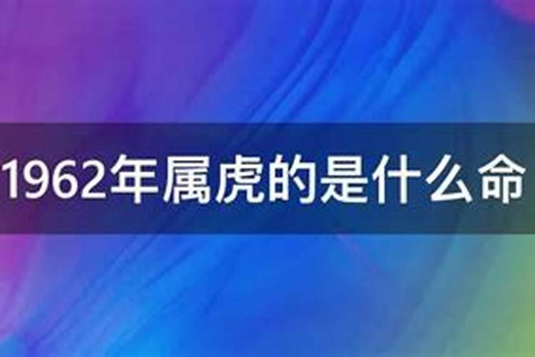 羊属羊人2024年的运程