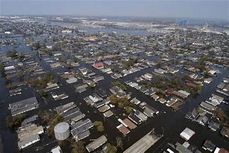 梦到大水淹没了路