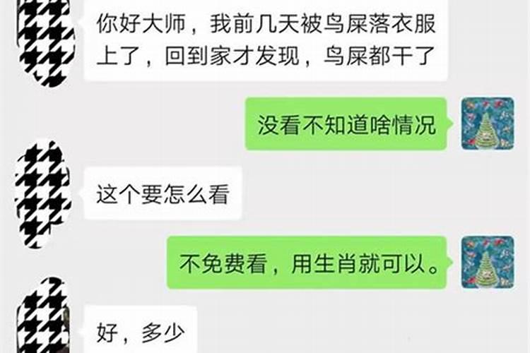 属相配偶很重要吗