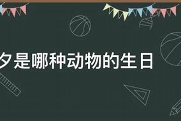 梦见放假了收拾东西准备回家了