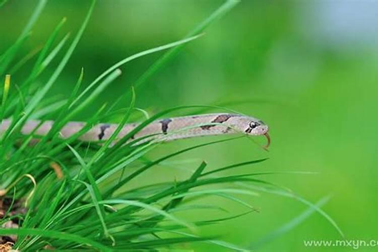 属龙阳历9月份的运势