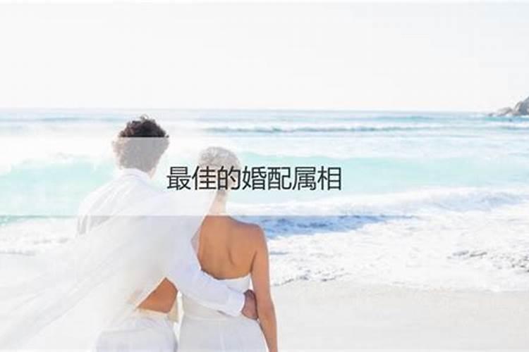 属羊的跟属什么的合适结婚