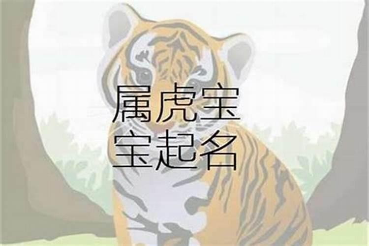 属虎最吉利的字母是什么