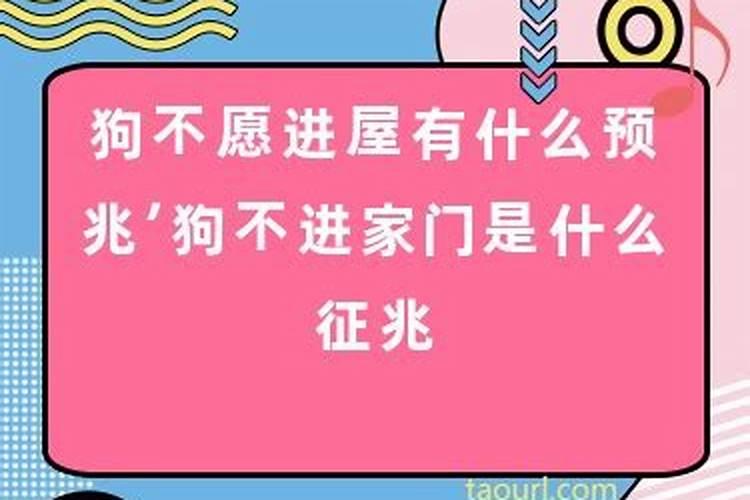 八字时柱比肩是什么意思