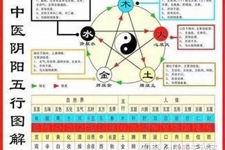 阴阳五行的解释西医