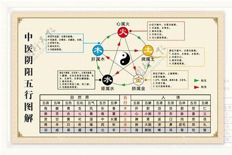 阴阳五行的解释西医