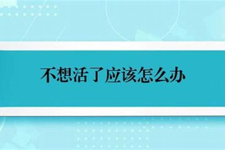 1996年2月14日出生属什么