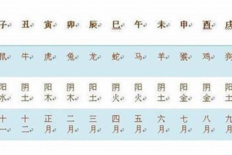 男人八字带华盖好不好呢