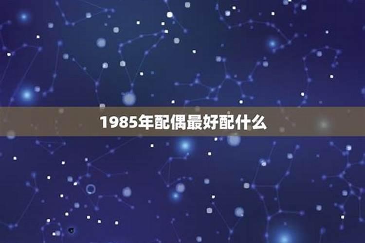 1985年属牛的最佳配偶