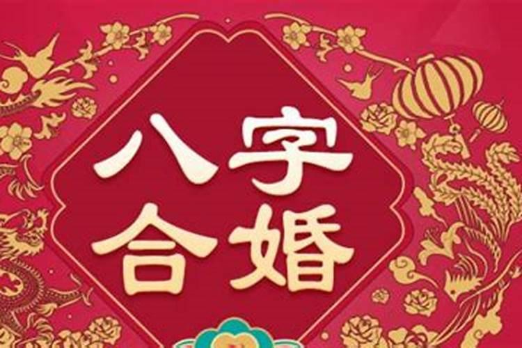 属鼠今年运气为什么不好