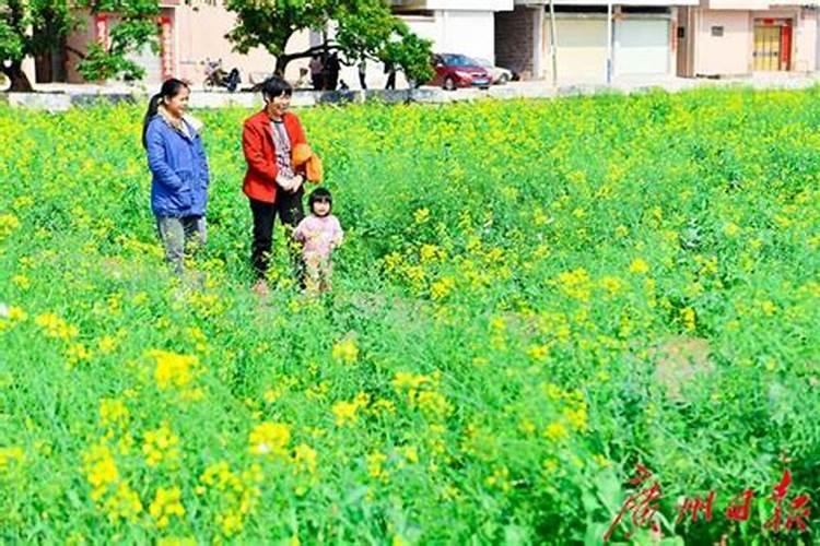 梦见自己迷路回不了家了满山跑