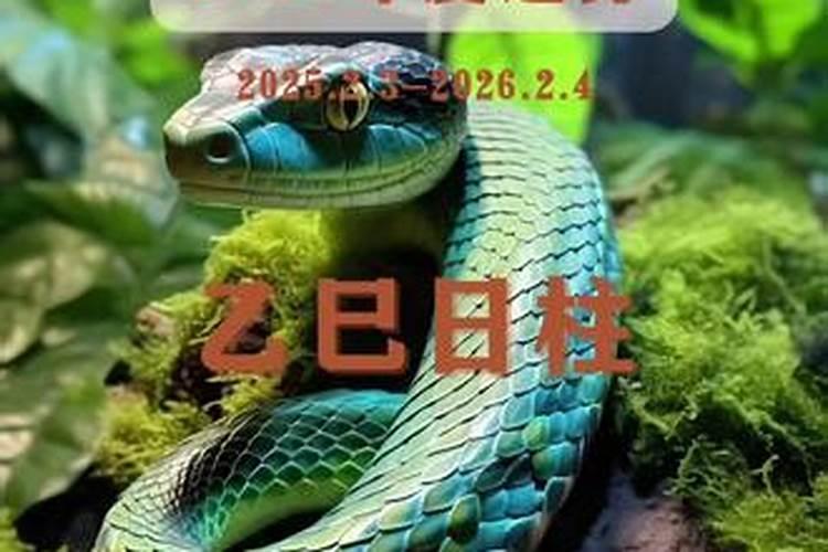 乙巳日柱遇2025乙巳流年